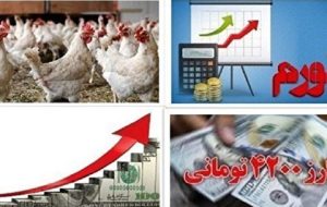 مقصر مرغ ۱۰۰ هزار تومانی کیست؟