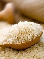 واردات برنج همچنان ممنوع است واردات برنج همچنان ممنوع است