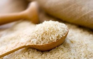 واردات برنج همچنان ممنوع است