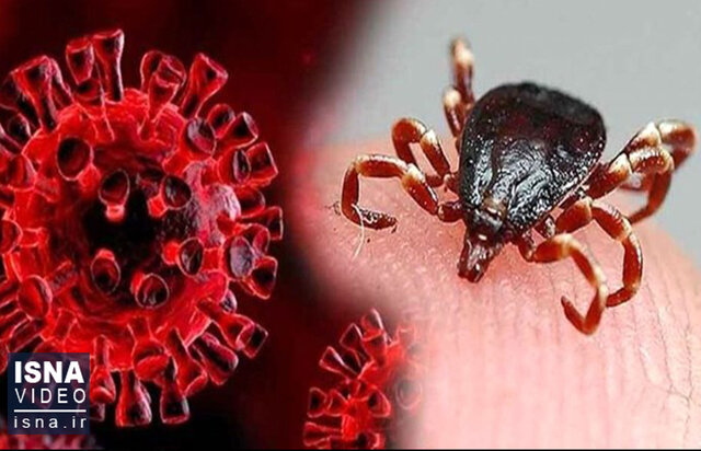 ویدیو / تب کریمه کنگو از ابتلا تا درمان