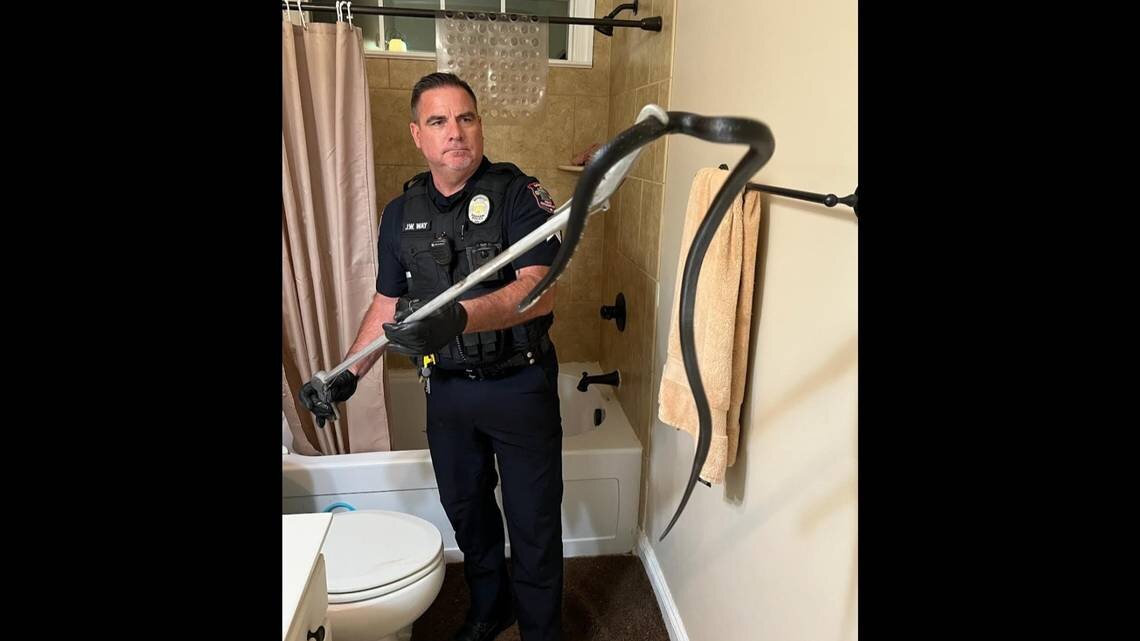 پیدا شدن مار در حمام