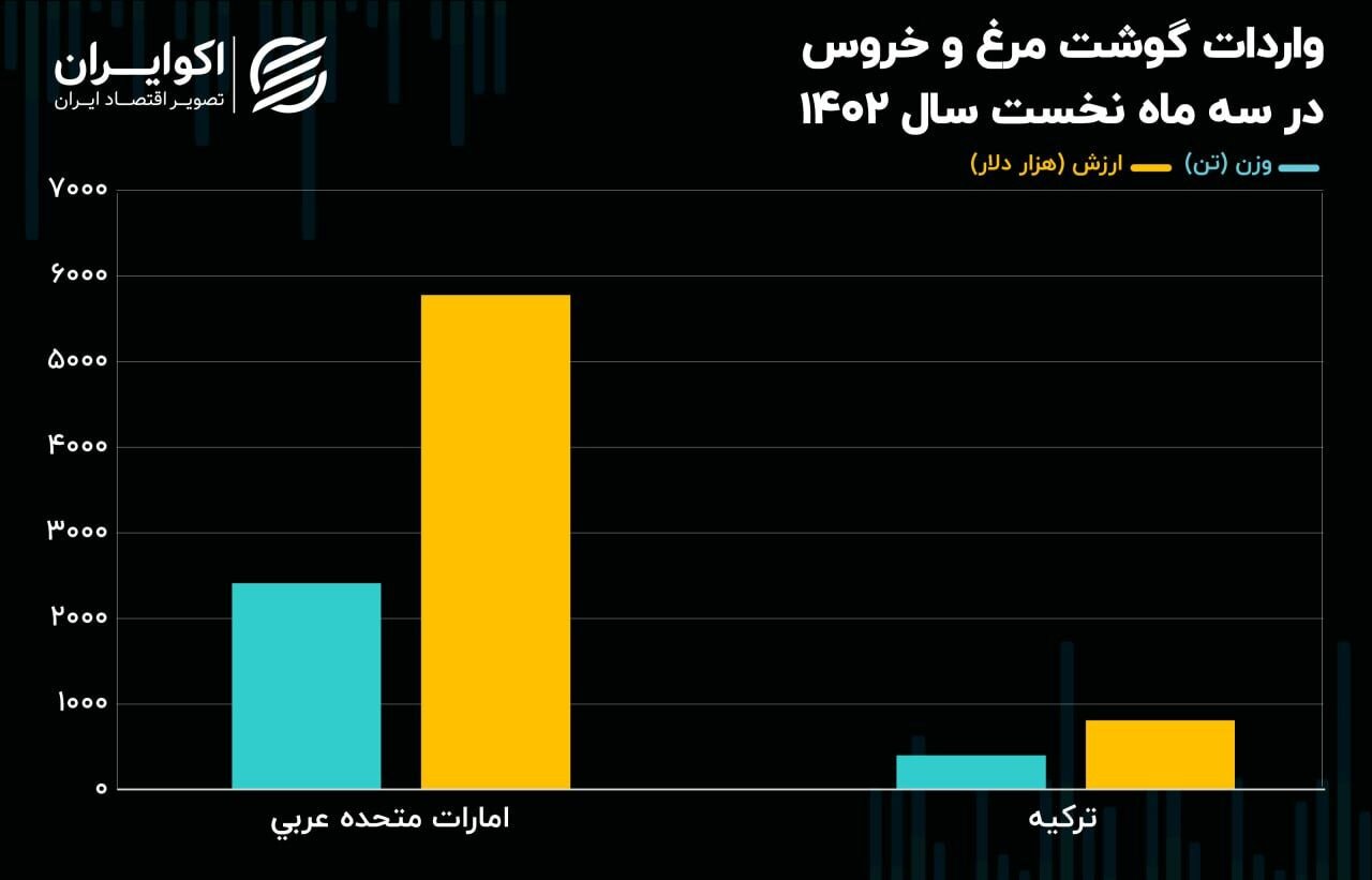 علت گران شدن قیمت مرغ مشخص شد