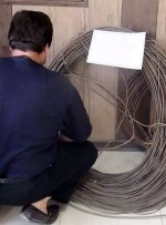 بازداشت عامل قطعی برق در شمال تهران / مرد جوان در دربند غافلگیر شد