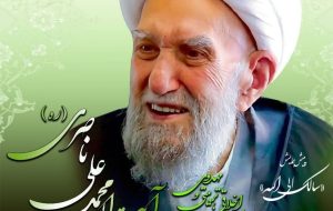 وزیر ارشاد:آیت الله ناصری همواره دلدادگی خود به نظام اسلامی را ابراز می کرد/شالویی :در دوران حیات هرگز اجازه ندادند که بزرگداشت ایشان را برگزار کنند