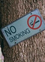 از «جنبش نسل بدون دود» تا قهرمانی هلند در کنترل تنباکو