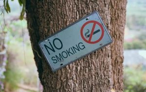 از «جنبش نسل بدون دود» تا قهرمانی هلند در کنترل تنباکو