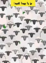آزمون یافتن بز: آیا می توانید در 9 ثانیه بز را در بین گله گوسفندان پیدا کنید؟