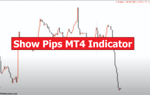 Show Pips MT4 Indicator – ForexMT4Indicators.com