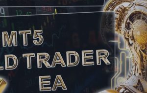 Gold Trader EA Installation – Other – 20 August 2023