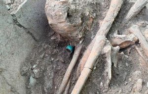 کشف اسکلت یک انسان با انگشتری از یشم کشف اسکلت یک انسان با انگشتری از یشم