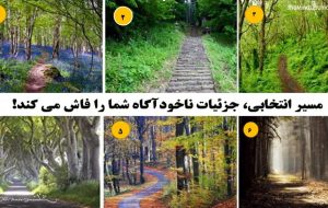 تست شخصیت سرگرم کننده: ضمیر ناخودآگاه شما چه چیزی را فاش می کند؟