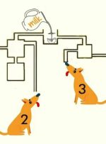 معمای شیر و سگ: در 8 ثانیه بگویید کدام سگ اول شیر را می نوشد؟