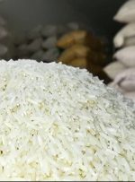 قیمت برنج شمال امروز کیلویی چند؟ + جدول (نیم‌دانه، هاشمی، معطر، دودی و…)