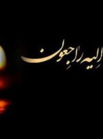 درگذشت یک مامور پلیس در بازی آلومینیوم – شمس‌آذر