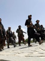 طالبان برای مقامات دولت سابق افغانستان کارت مصونیت توزیع می کند