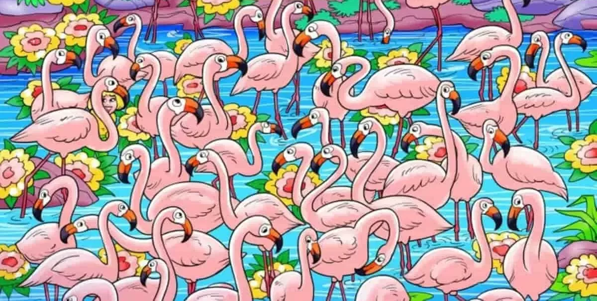 آزمون تشخیص دختری میان فلامینگوها