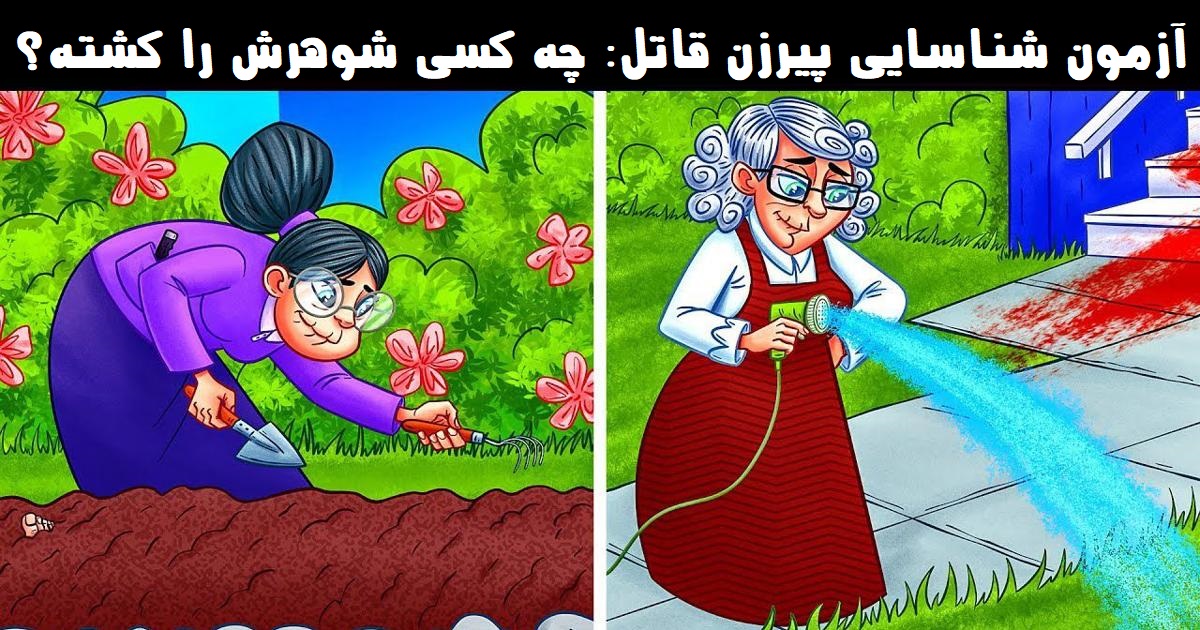 آزمون شناسایی پیرزن قاتل
