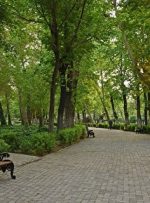 اجرای راهکار جهانی برای کاهش آلاینده های شهری اجرای راهکار جهانی برای کاهش آلاینده های شهری