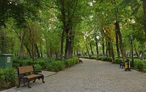 اجرای راهکار جهانی برای کاهش آلاینده های شهری