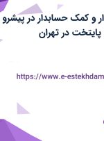 استخدام حسابدار و کمک حسابدار در پیشرو گستر شایستگان پایتخت در تهران