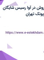 استخدام مدیر فروش در آوا رسیس شایگان البرز در محدوده پونک تهران