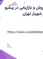 استخدام مدیر فروش و بازاریابی در پیشرو صنایع موفقی در شهریار تهران