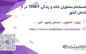 استخدام مشاوران خانه و زندگی (TENDY) در 5 استان کشور