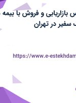 استخدام کارشناس بازاریابی و فروش با بیمه در توسعه الکترونیک سفیر در تهران