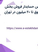 استخدام کارشناس حسابدار فروش (بخش زنجیره ای) با حقوق تا ۲۰ میلیون در تهران