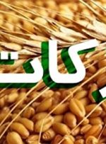 افزایش ۱۸۸ درصدی پرداخت زکات در تهران