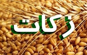 افزایش ۱۸۸ درصدی پرداخت زکات در تهران