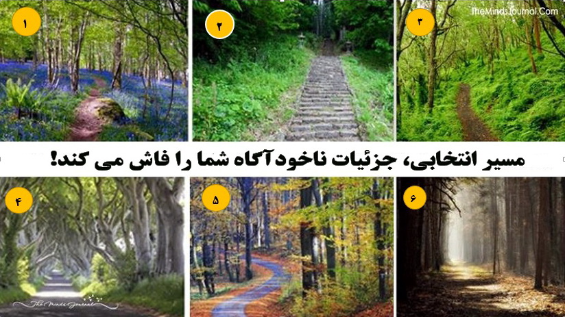 تست شخصیت سرگرم کننده