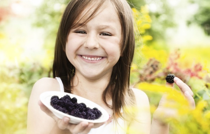 خواص شاه توت برای سلامتی