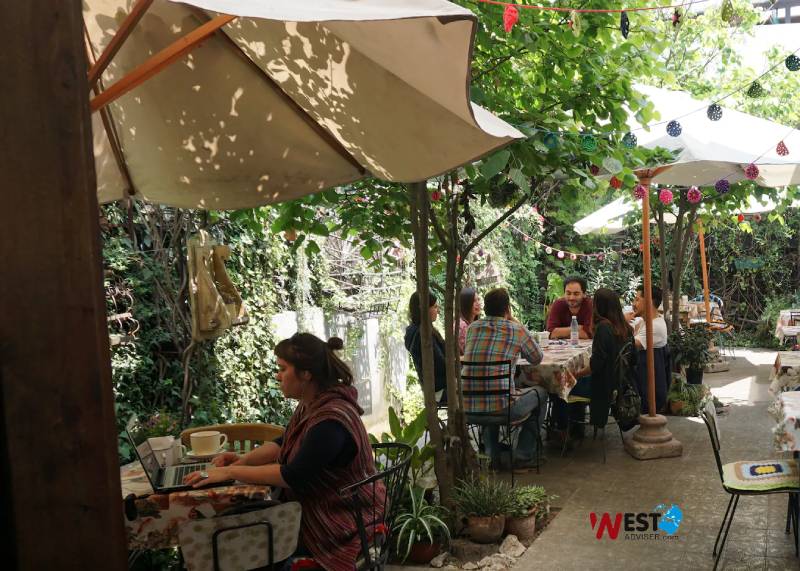 زندگی در شیلی