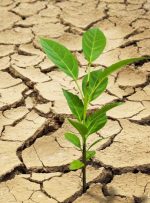 زنگ خطر تنش آبی در جهان-راهبرد معاصر زنگ خطر تنش آبی در جهان-راهبرد معاصر