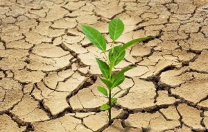 زنگ خطر تنش آبی در جهان-راهبرد معاصر