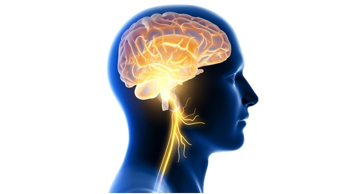 محل عصب واگ