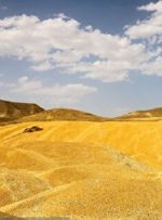 فهرست ۱۲ استان صدرنشین در میزان خرید گندم فهرست ۱۲ استان صدرنشین در میزان خرید گندم