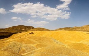 فهرست ۱۲ استان صدرنشین در میزان خرید گندم فهرست ۱۲ استان صدرنشین در میزان خرید گندم