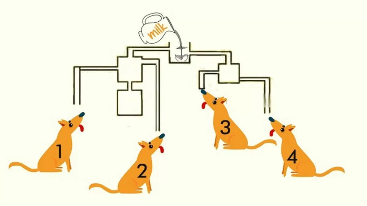 معمای شیر و سگ