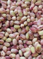 پسته تازه با پوست کیلویی۳۶۴هزار تومان، پسته اکبری ۱میلیون تومان!/ لیست قیمت انواع پسته