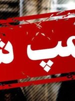 دفتر برند «دافی» پلمپ شد + عکس