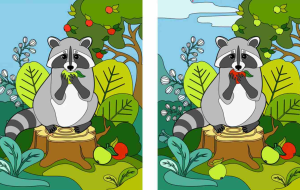 آزمون تشخیص تفاوت تصویر راکون برای تقویت هوش آزمون تشخیص تفاوت تصویر راکون برای تقویت هوش