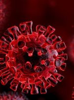 اطلاعات جدید درباره خطر سویه جدید ویروس کرونا