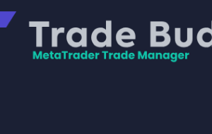 Trade Buddy User Guide – Other – 8 September 2023