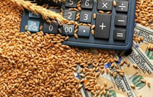  کاهش قیمت جهانی مواد غذایی/ انفجار قیمت برنج