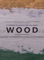 «چوب» به آمریکا می‌رود – خبرآنلاین