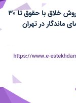 استخدام مدیر فروش خلاق با حقوق تا ۳۰ میلیون در هنر نمای ماندگار در تهران