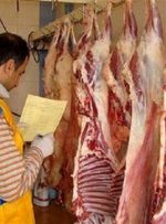 گوشت گوسفند‌های کنیا در بازار ایران-راهبرد معاصر