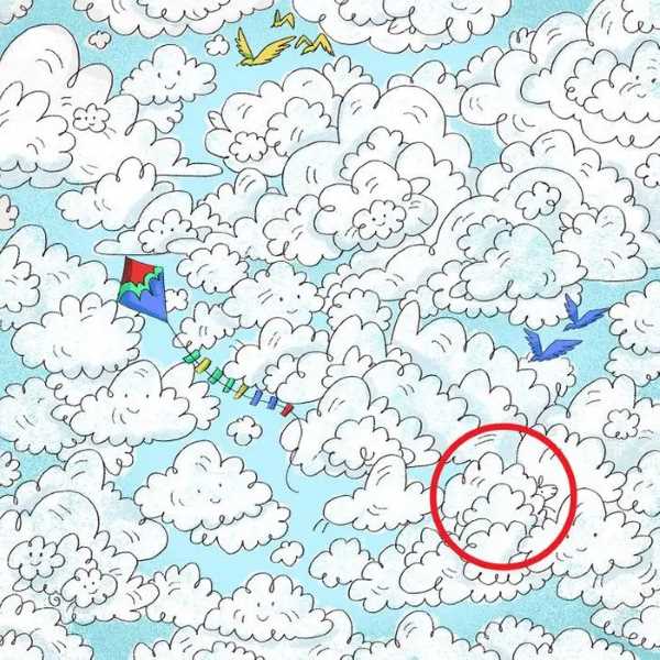 گوسفند مخفی در بین ابرها